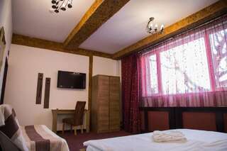 Отель Motel Davios Тыргу-Жиу Двухместный номер с 1 кроватью-13
