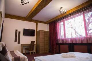 Отель Motel Davios Тыргу-Жиу Двухместный номер с 1 кроватью-64