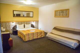 Отель Motel Davios Тыргу-Жиу Двухместный номер с 1 кроватью-70